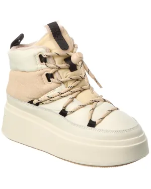 Ash Montana Suede Platform Bootie