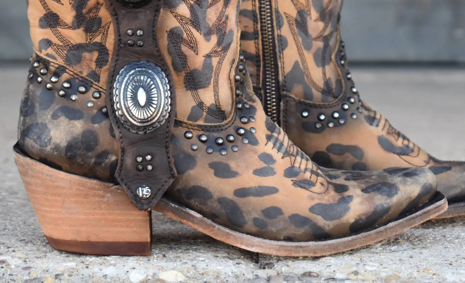 Women's Buckled In Leopard Leather Bootie In Brown Multi